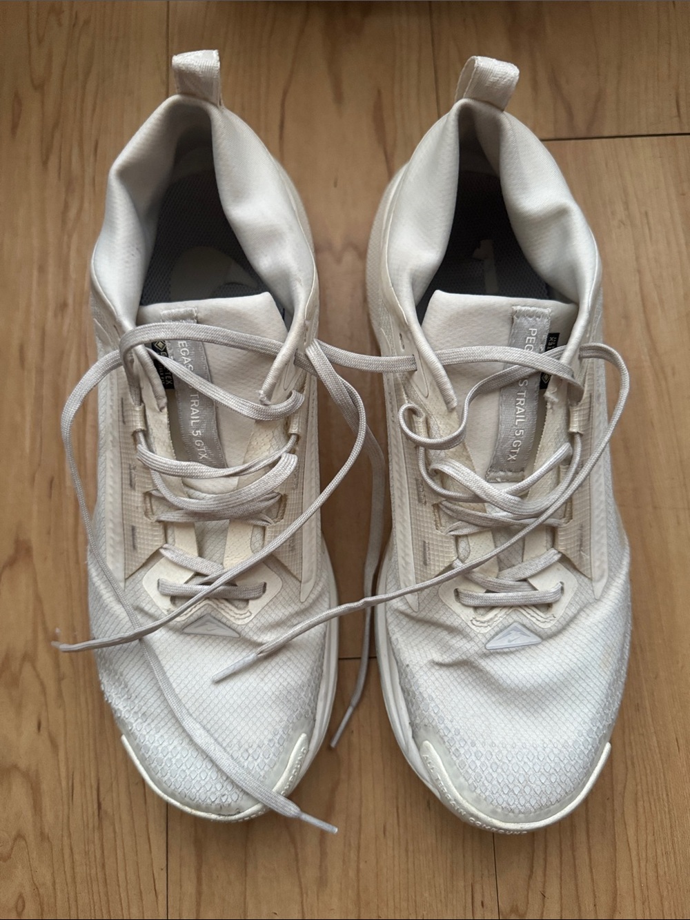Men’s Nike Pegasus Trail Goretex